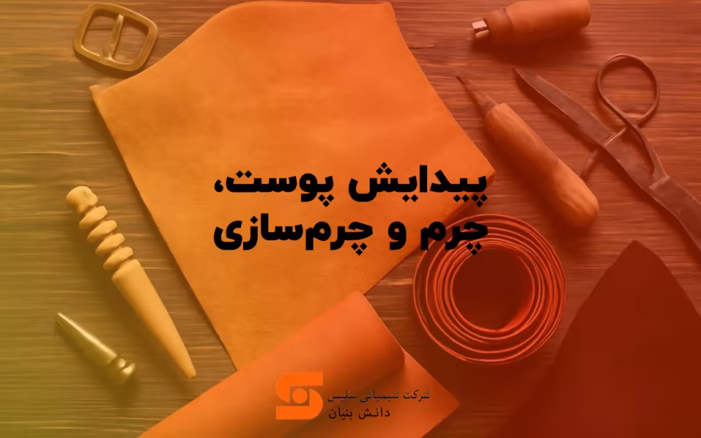 پیدایش پوست، چرم و چرم سازی