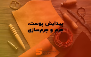 پیدایش پوست، چرم و چرم سازی